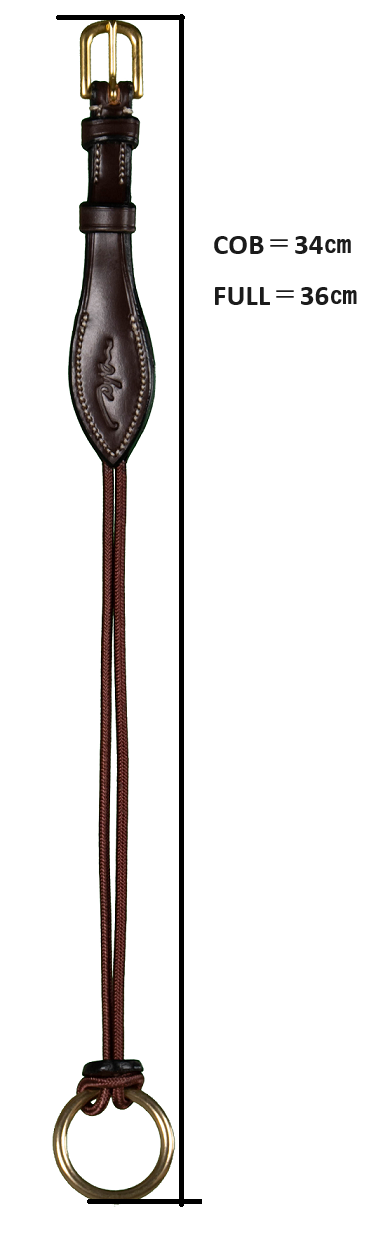 ディオン ギャグ用頬革