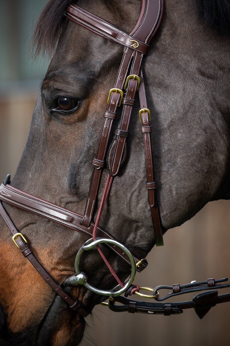 ディオン ギャグ用頬革