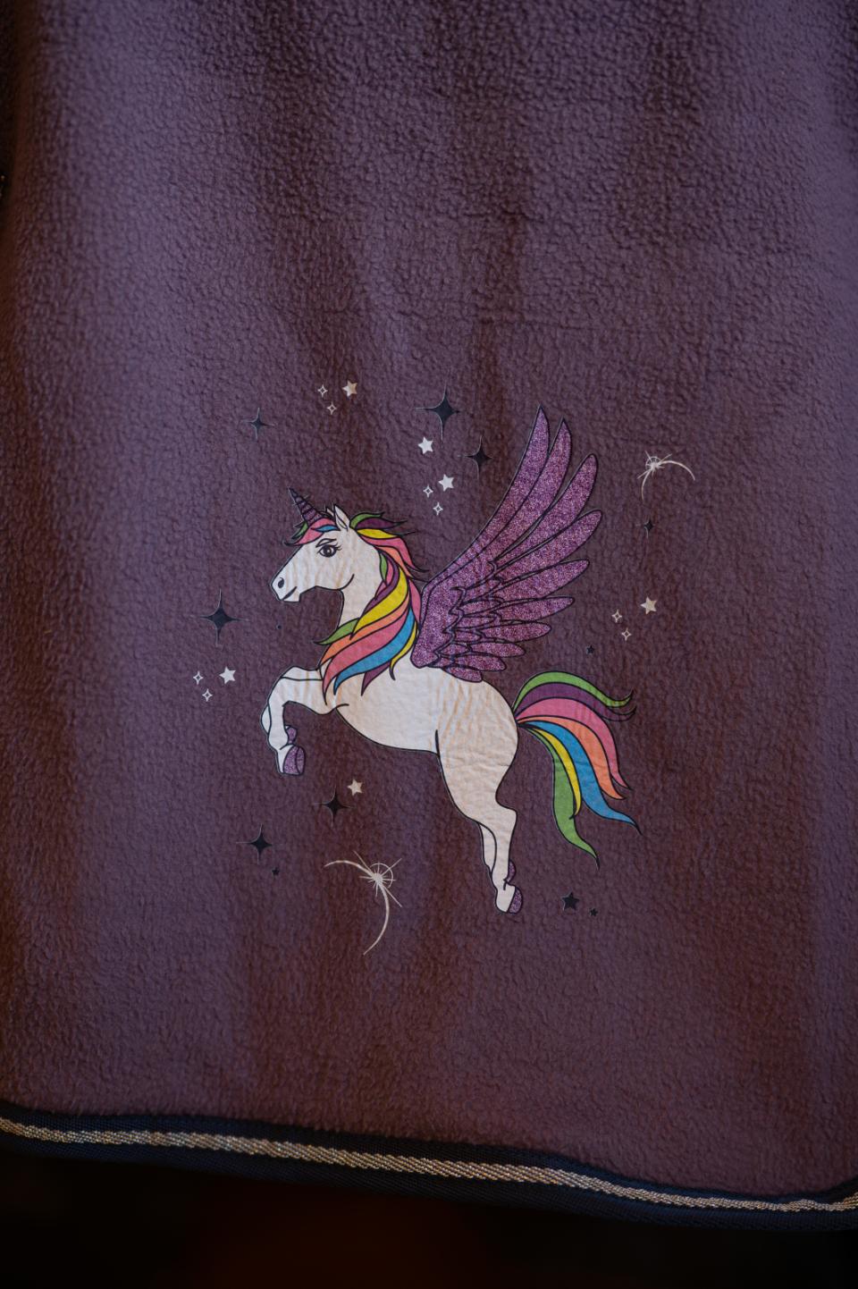 HG ポニー用 フリースラグ Sanna