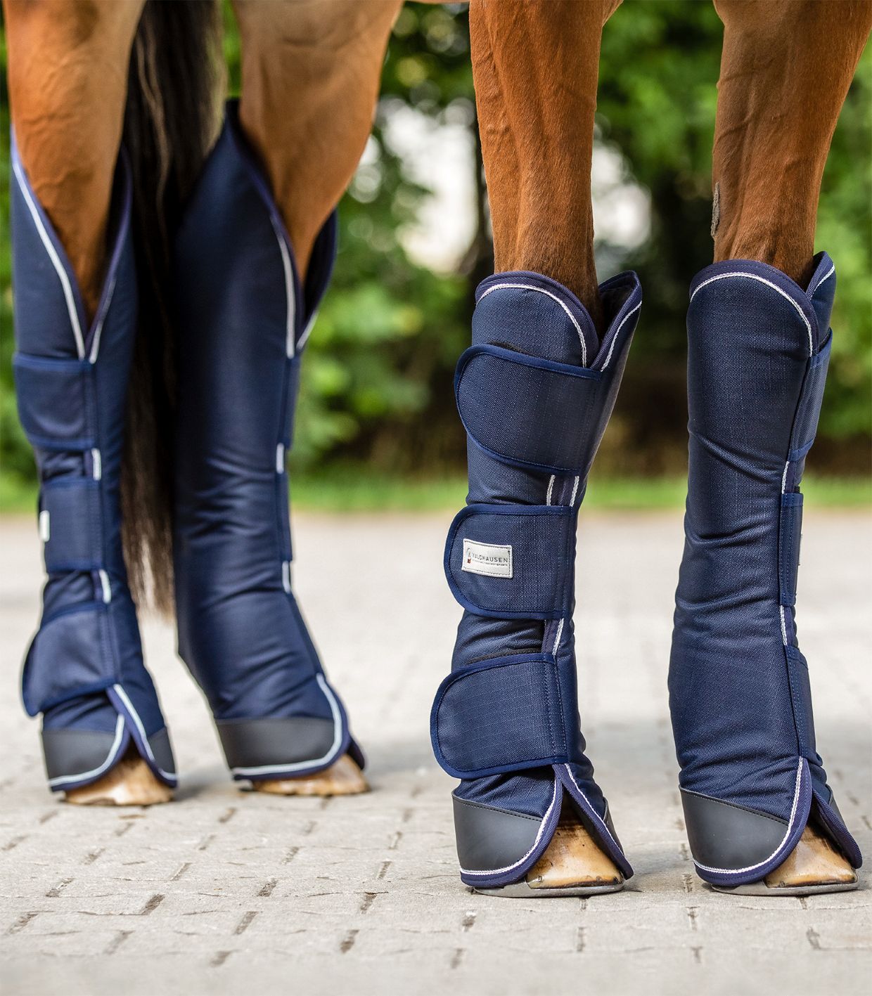 Covalliero　前肢用　FULL テックエアプロテクター　乗馬用品 馬術 Covalliero 前肢用 テックエアプロテクター 乗馬 乗馬用品 馬術 : KIND