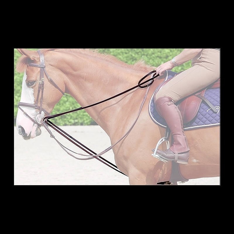 ディオン　レザー折り返し手綱