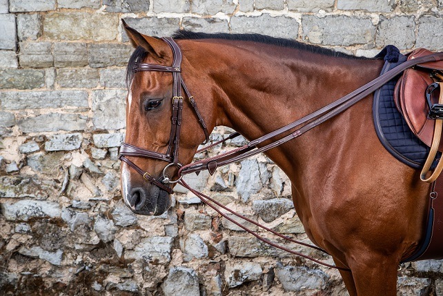 LYFDPN 馬の手綱 馬リードロープ ソフトボルトスナップクリップ