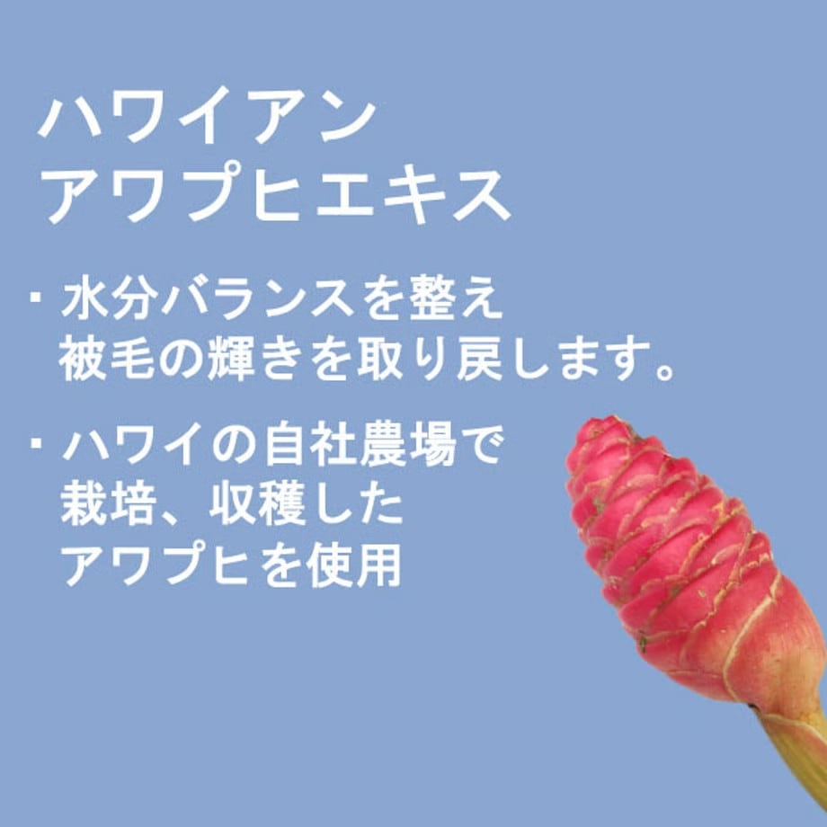 ポールミッチェル（ジョンポール）　アワプヒシャンプー