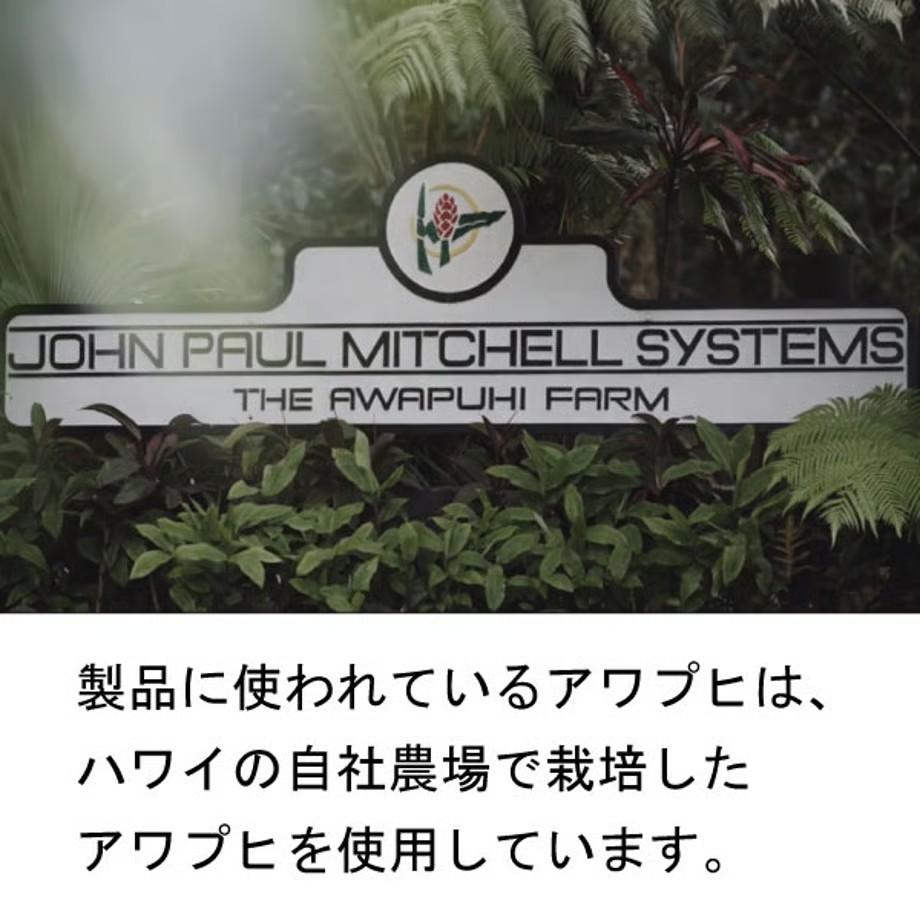 ポールミッチェル（ジョンポール）　アワプヒシャンプー