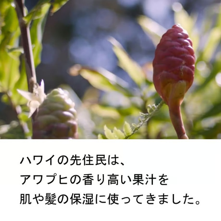 ポールミッチェル（ジョンポール）　アワプヒシャンプー