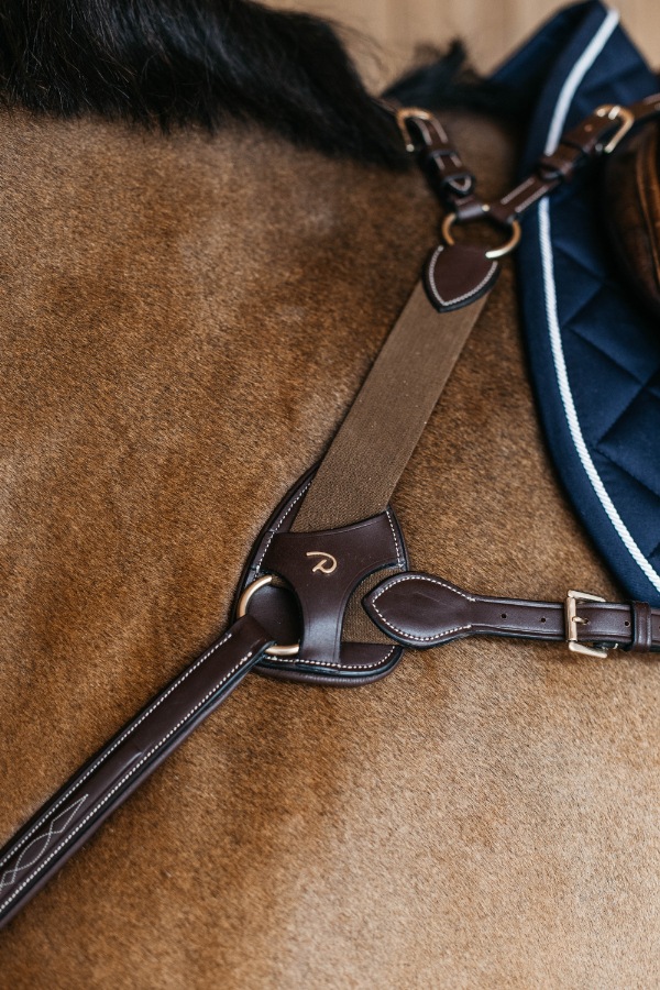 ディオン エラスティック胸ガイ （5点式）