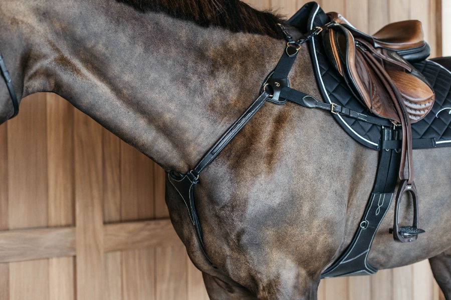 ディオン エラスティック胸ガイ （5点式）