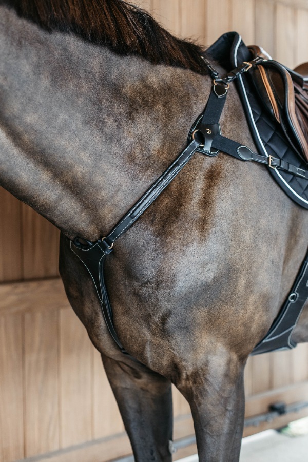 ディオン エラスティック胸ガイ （5点式）