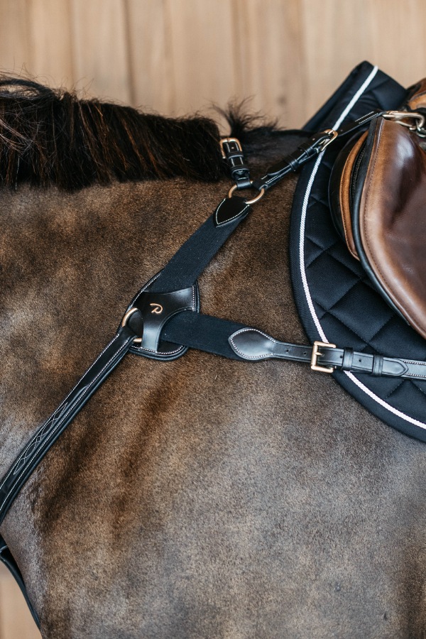 ディオン エラスティック胸ガイ （5点式）