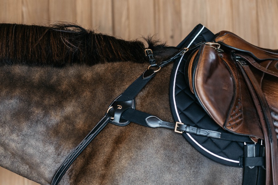 ディオン エラスティック胸ガイ （5点式）｜乗馬用品・馬具なら中江