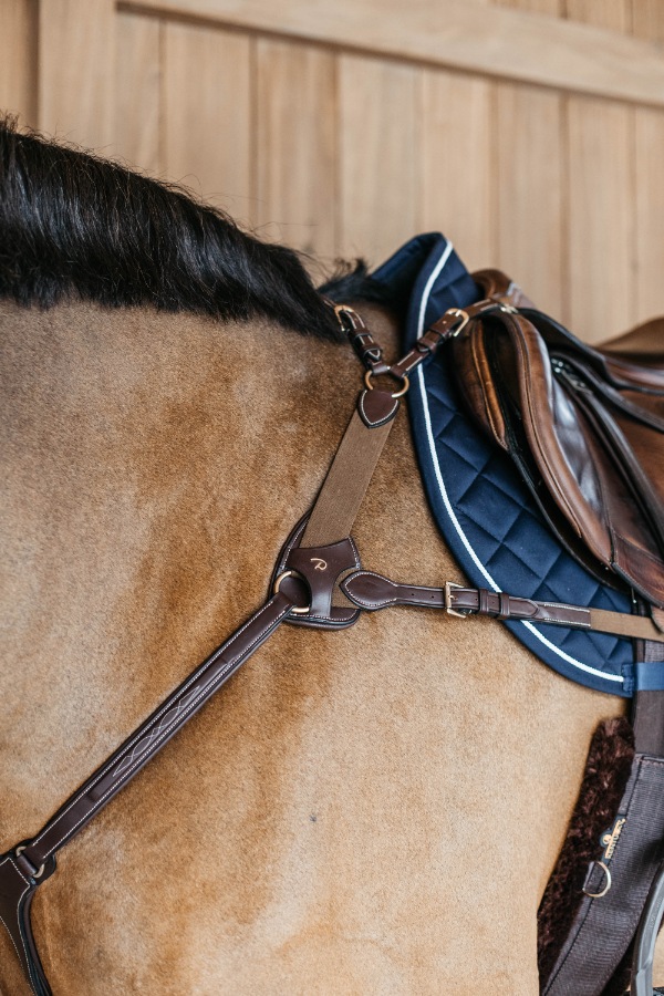 ディオン エラスティック胸ガイ （5点式）