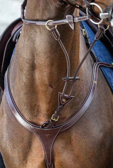 ディオン　エラスティック　マルタンアタッチメント