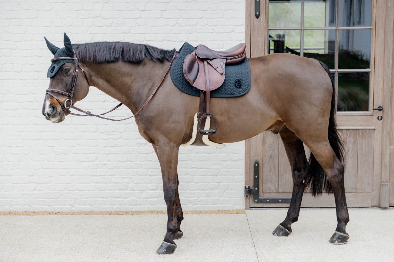 ディオンPlaitedコンビ水勒頭絡