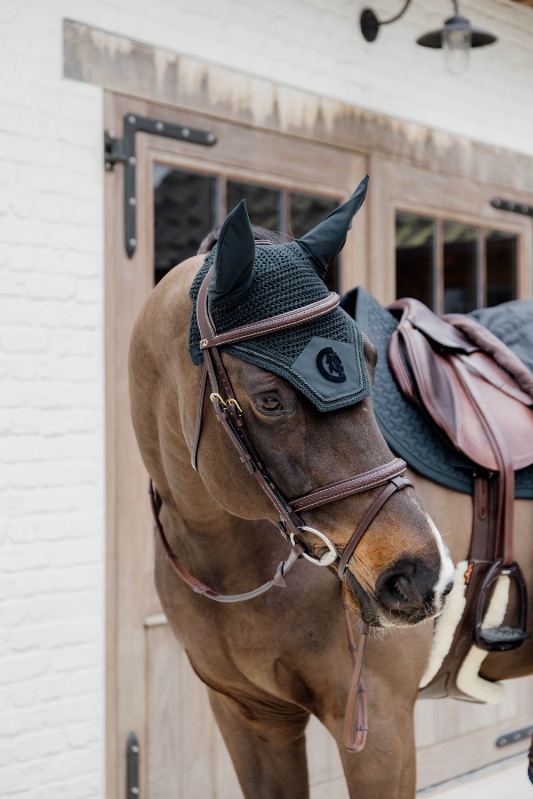 ディオンPlaitedコンビ水勒頭絡