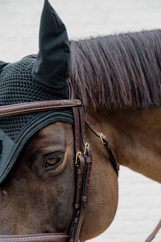 ディオンPlaitedコンビ水勒頭絡