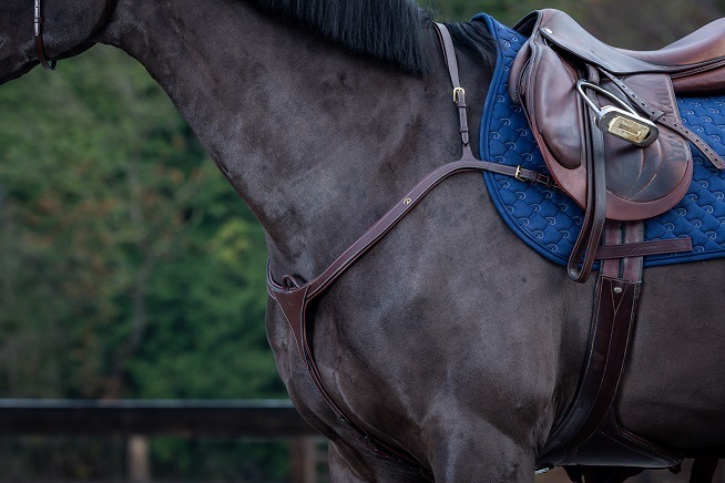 ディオン ロングブリッジ胸ガイ