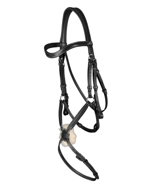 ディオン　メキシカン頭絡