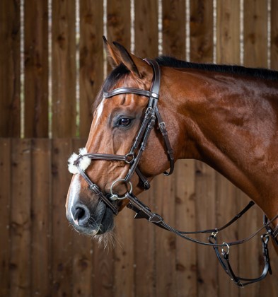 ディオン　メキシカン頭絡