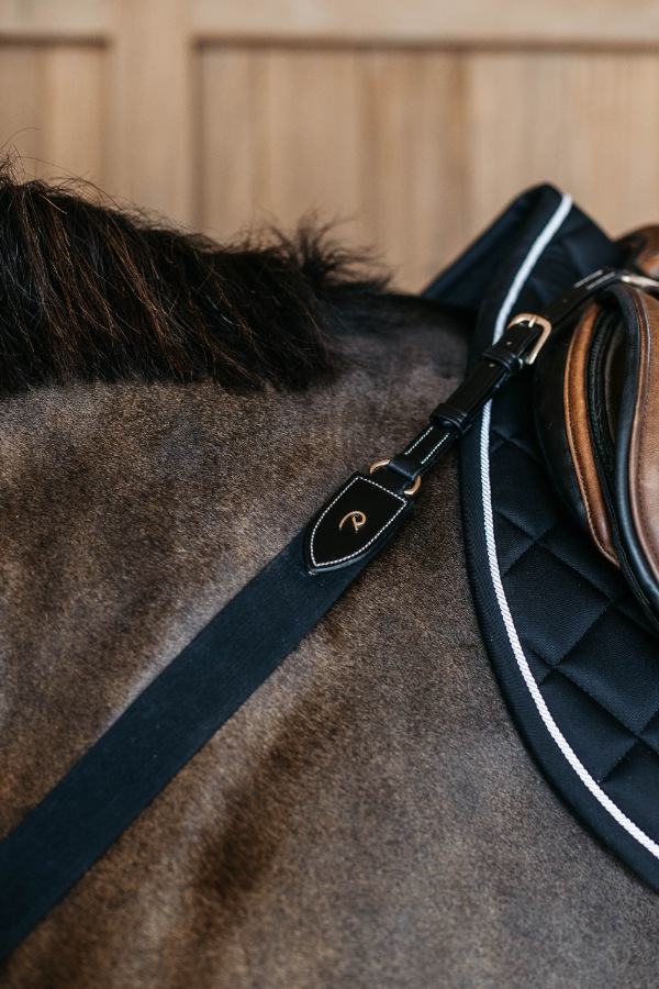 ディオン エラスティック一本胸ガイ