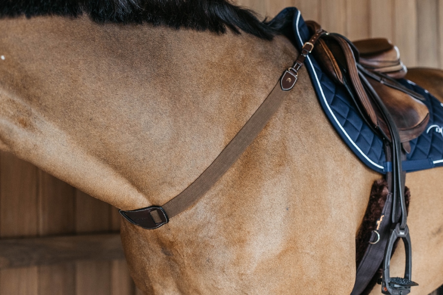 ディオン エラスティック一本胸ガイ