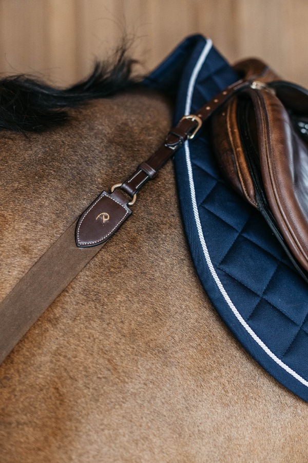 ディオン エラスティック一本胸ガイ