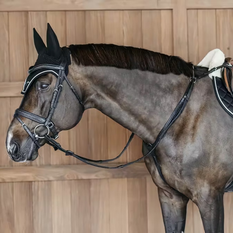 ディオン ダイヤモンド サウンドレス イヤーネット｜乗馬用品なら中江