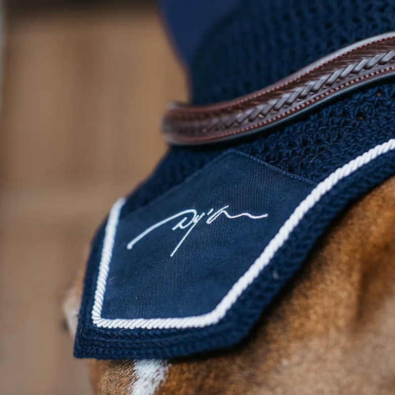 ディオン　ダイヤモンド サウンドレス イヤーネット