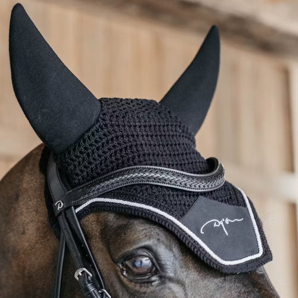 ディオン ダイヤモンド サウンドレス イヤーネット｜乗馬用品なら中江