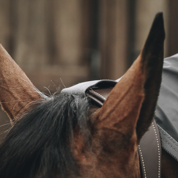 ケンタッキー 馬用レインコート｜乗馬用品なら中江物産通販サイト