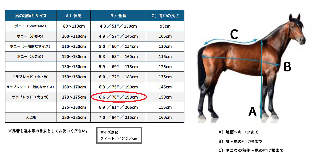 【WEB限定】E-T TYREX 600D ターンアウトラグ (中綿150g)
