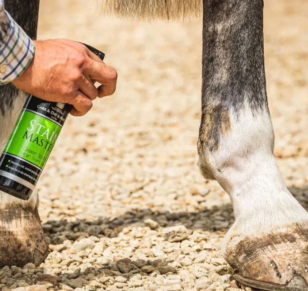 カーデイマーティン ステインマスター (汚れ落とし 500ml)