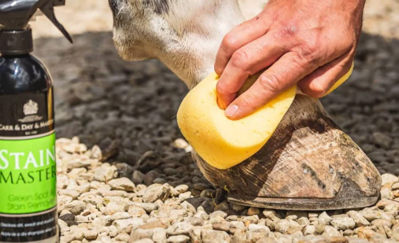 カーデイマーティン ステインマスター (汚れ落とし 500ml)
