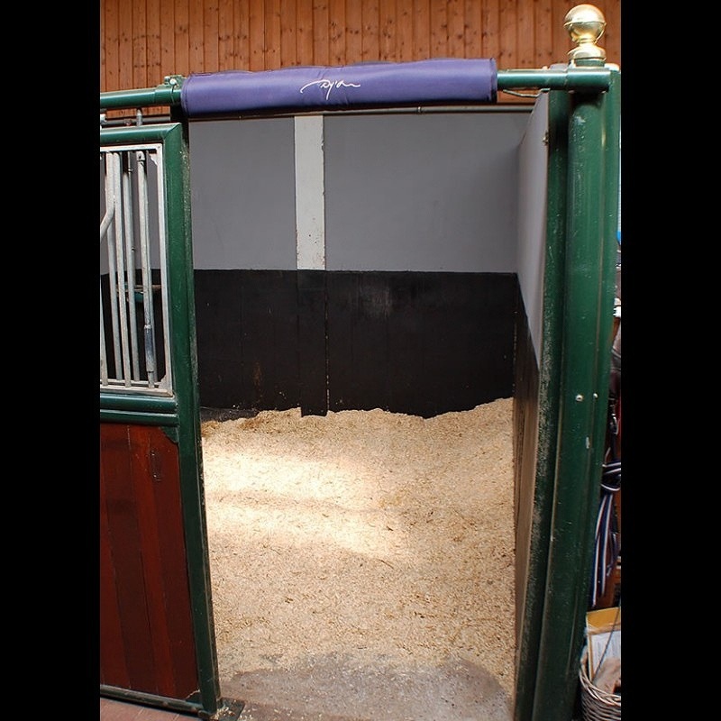 ディオン ヘッドプロテクター