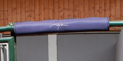 ディオン ヘッドプロテクター