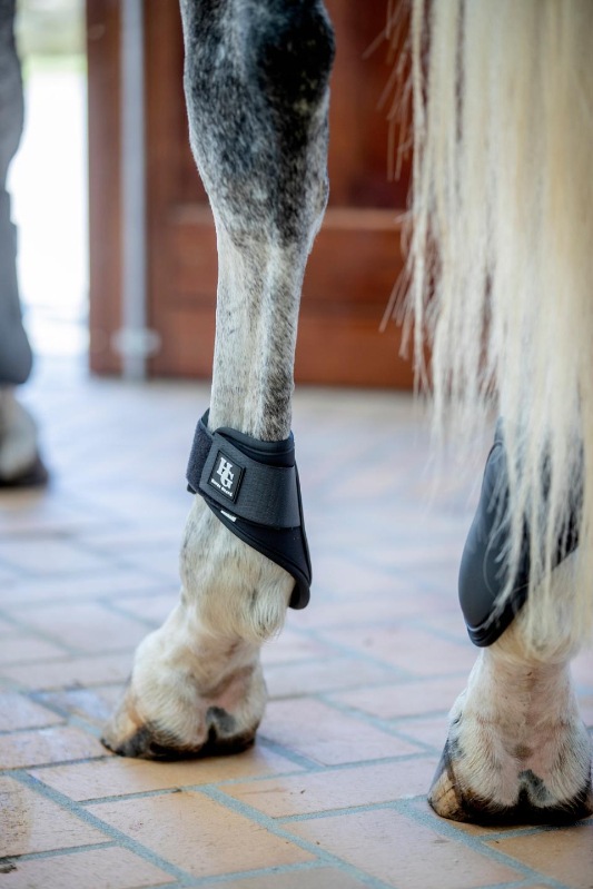 HG フェットロックブーツ(後肢)
