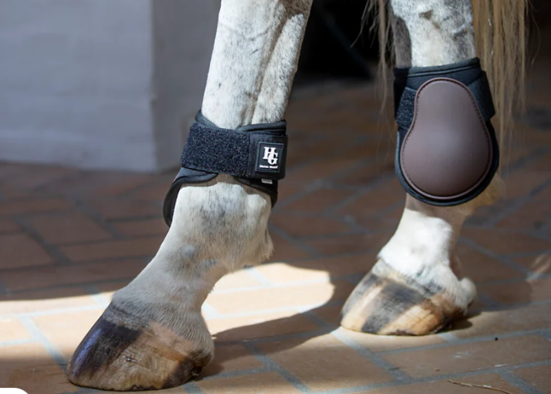 HG フェットロックブーツ(後肢)