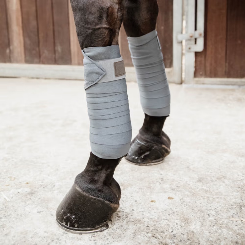 ケンタッキー Repellentバンテージ