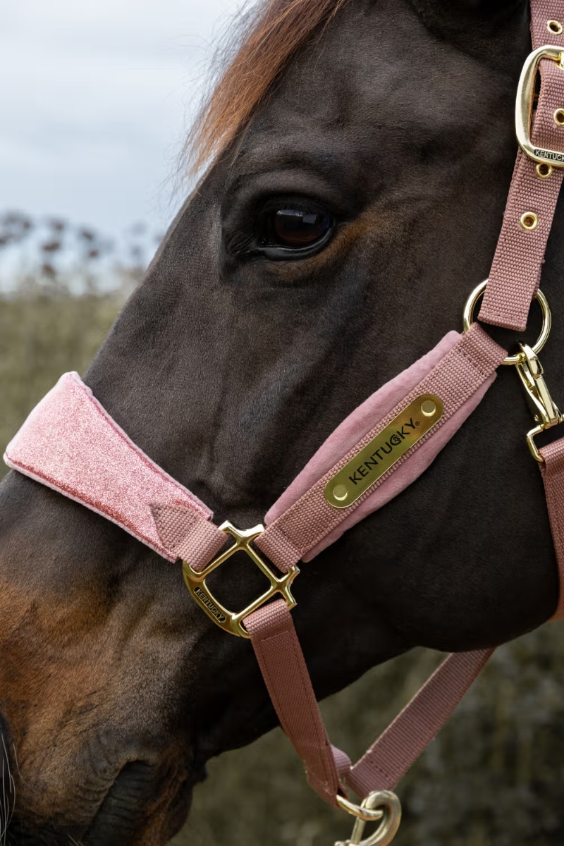 ケンタッキー ベルベットホルターUnicorn Glitter