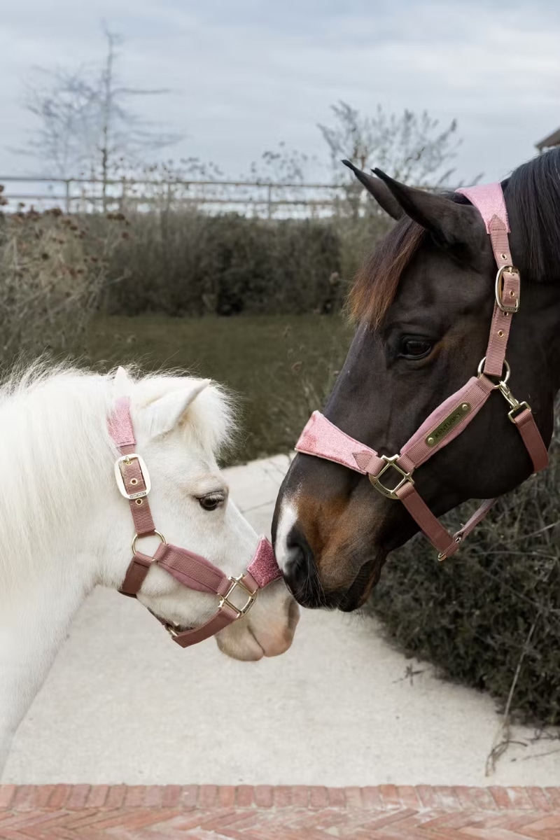 ケンタッキー ベルベットホルターUnicorn Glitter