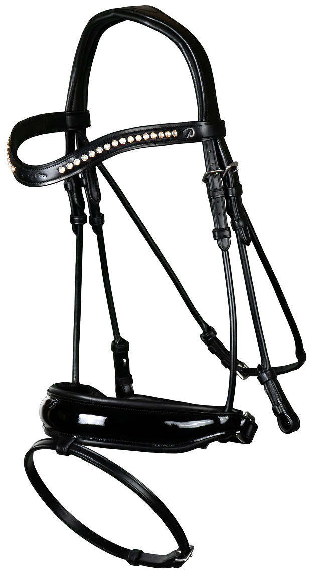 ディオン スペシャルドレッサージ水勒頭絡(丸革仕様)