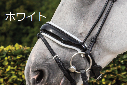 ディオン スペシャルドレッサージ水勒頭絡(丸革仕様)