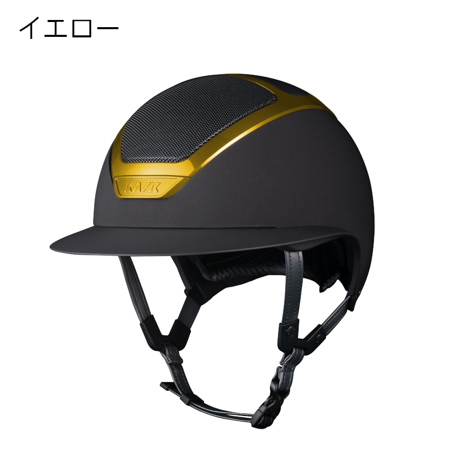 カスク オプション見本 ペインテッド