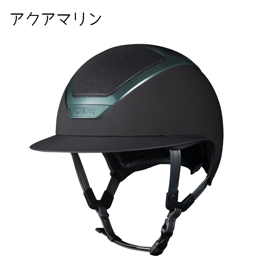 カスク オプション見本 ペインテッド