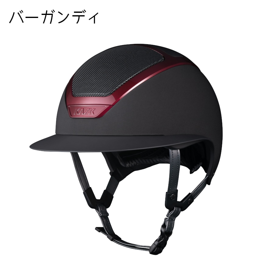 カスク オプション見本 ペインテッド