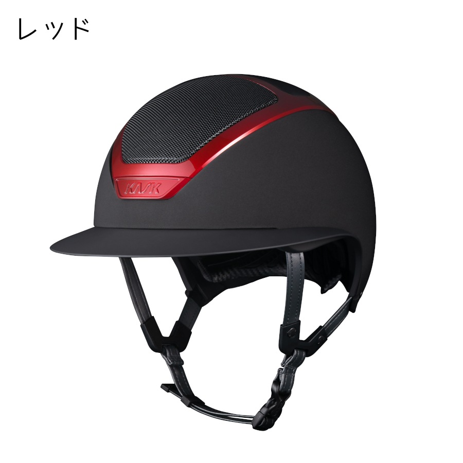 カスク オプション見本 ペインテッド