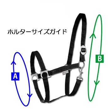 CATAGO　Nate ホルター