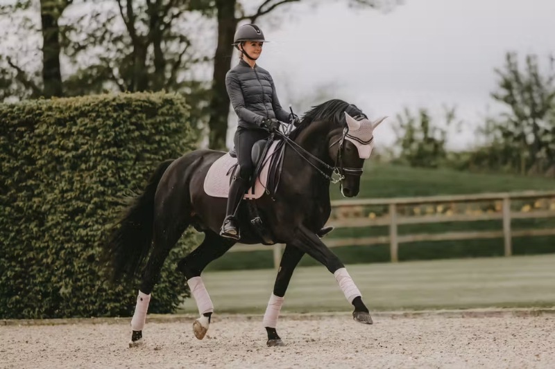 ケンタッキー イヤーネット ベルベットパール