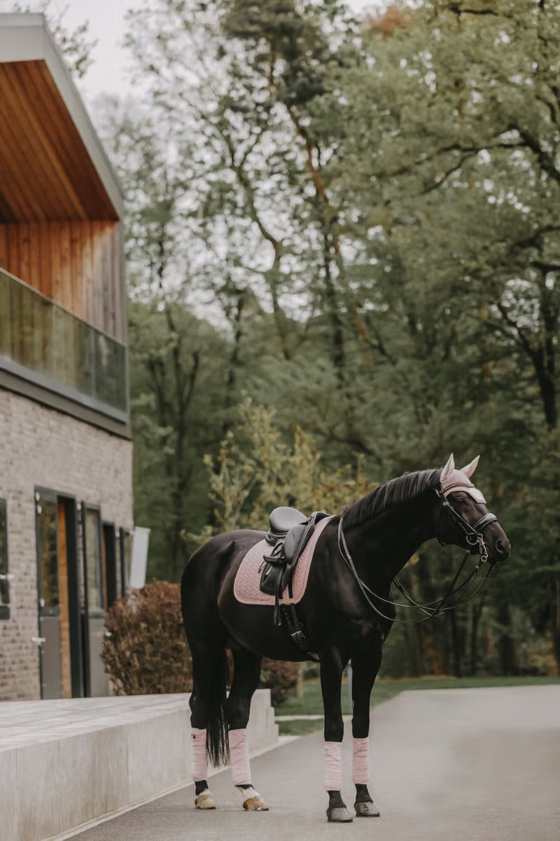 ケンタッキー イヤーネット ベルベットパール