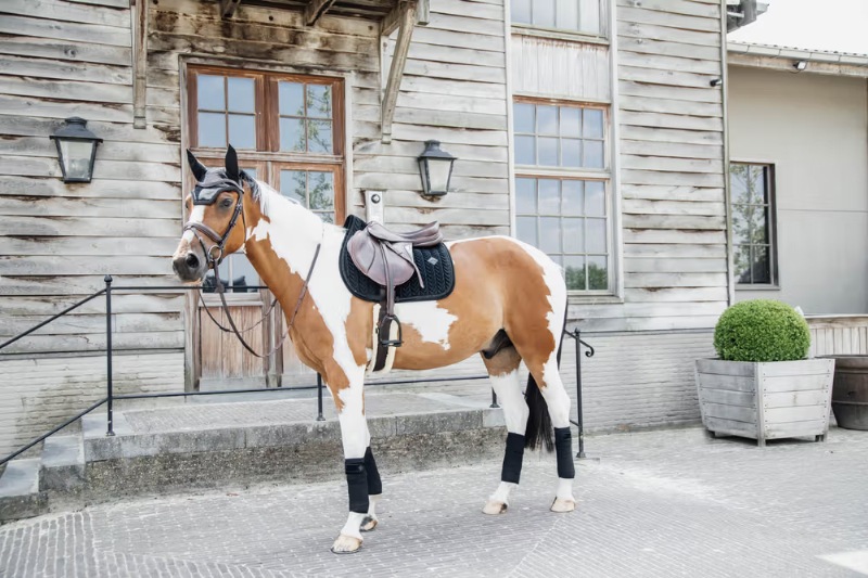 ケンタッキー イヤーネット ベルベットパール