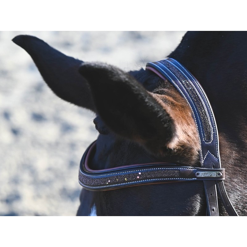 JUMPIN(ジャンピン) CARAT頭絡【ゴム手綱付き】